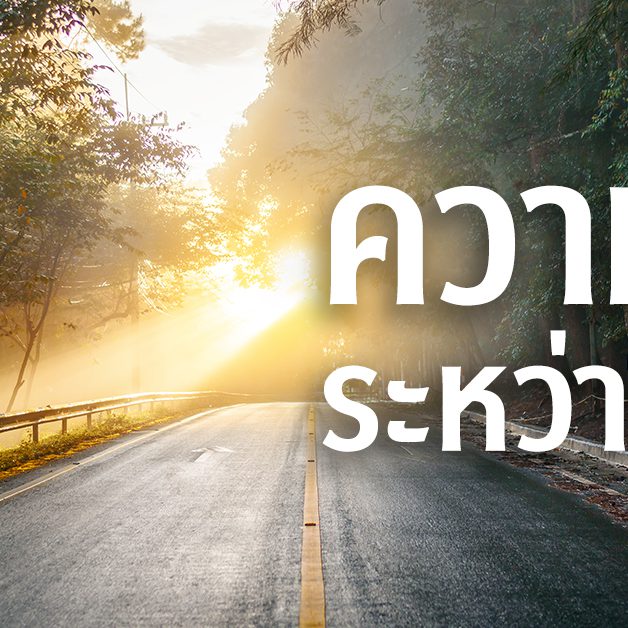 ความสุขระหว่างทาง