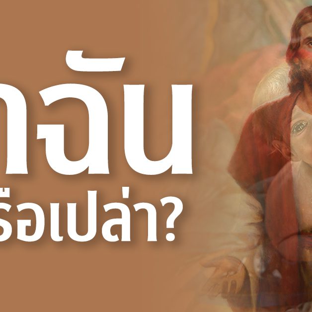 จำฉันได้หรือเปล่า