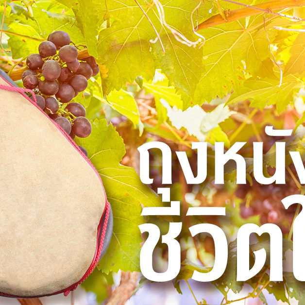ถุงหนังใหม่ชีวิตใหม่