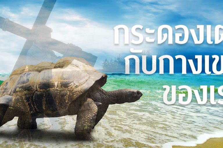 กระดองเต่ากับกางเขนของเรา