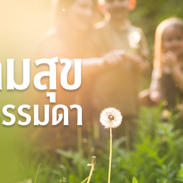 ความสุขแบบธรรมดา