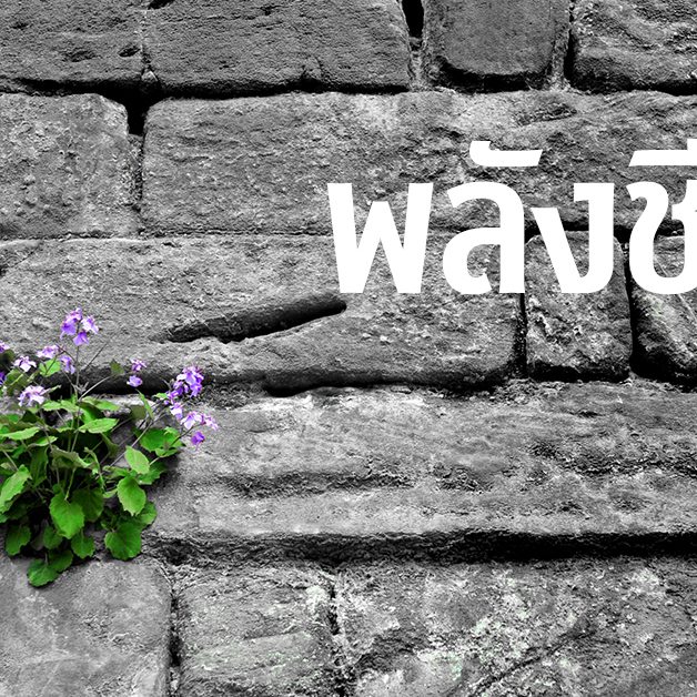 พลังชีวิต