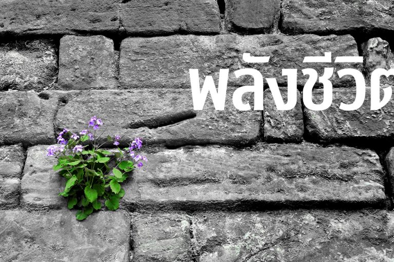 พลังชีวิต