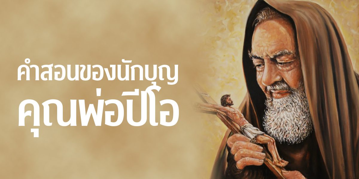 banner-คุณพ่อปีโอ 243 copy