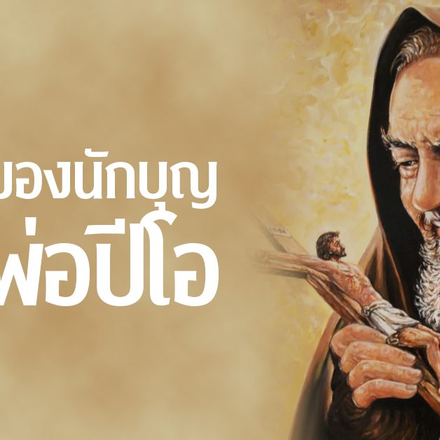 banner-คุณพ่อปีโอ 243 copy