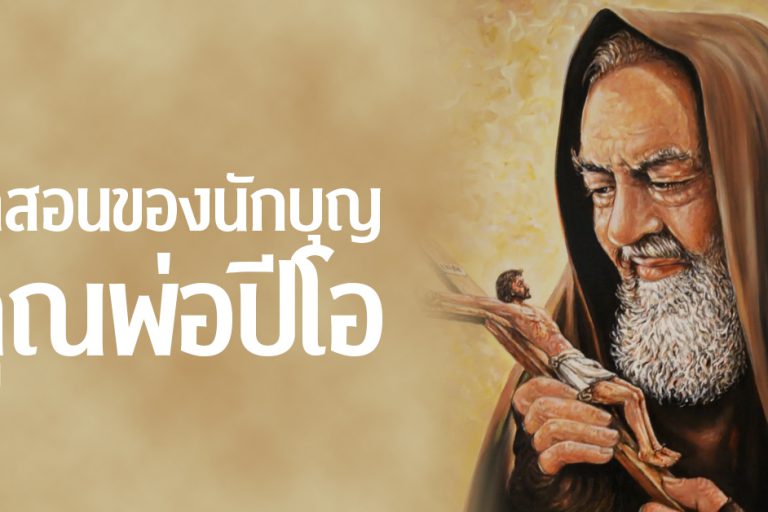 banner-คุณพ่อปีโอ 243 copy