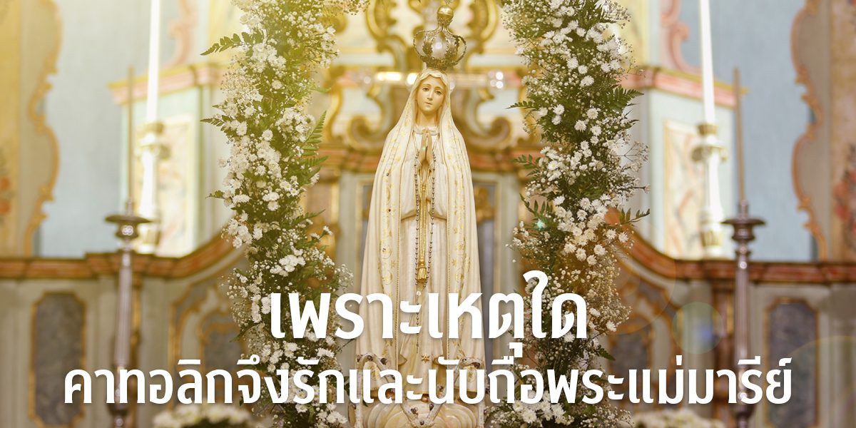 banner- เพราะเหตุใด 244 copy