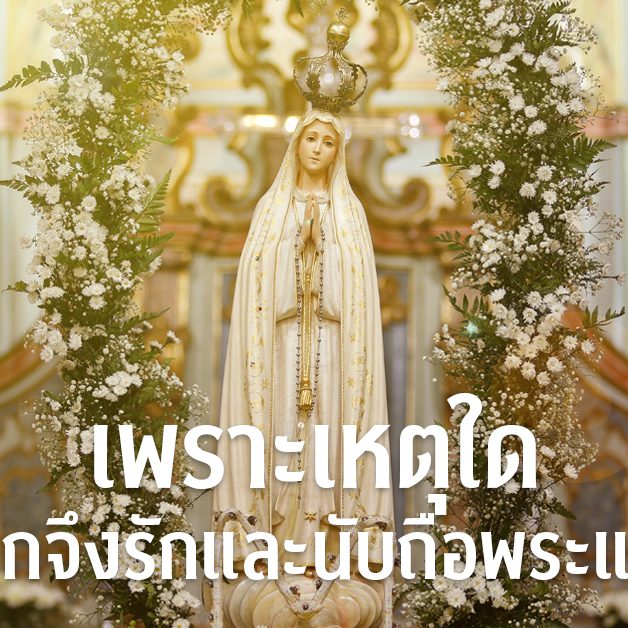 banner- เพราะเหตุใด 244 copy