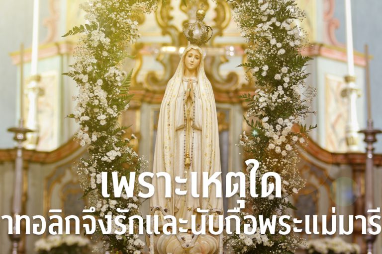 banner- เพราะเหตุใด 244 copy