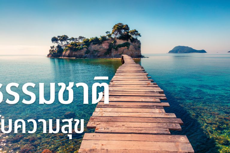 banner-ธรรมชาติกับความสุข 245 copy