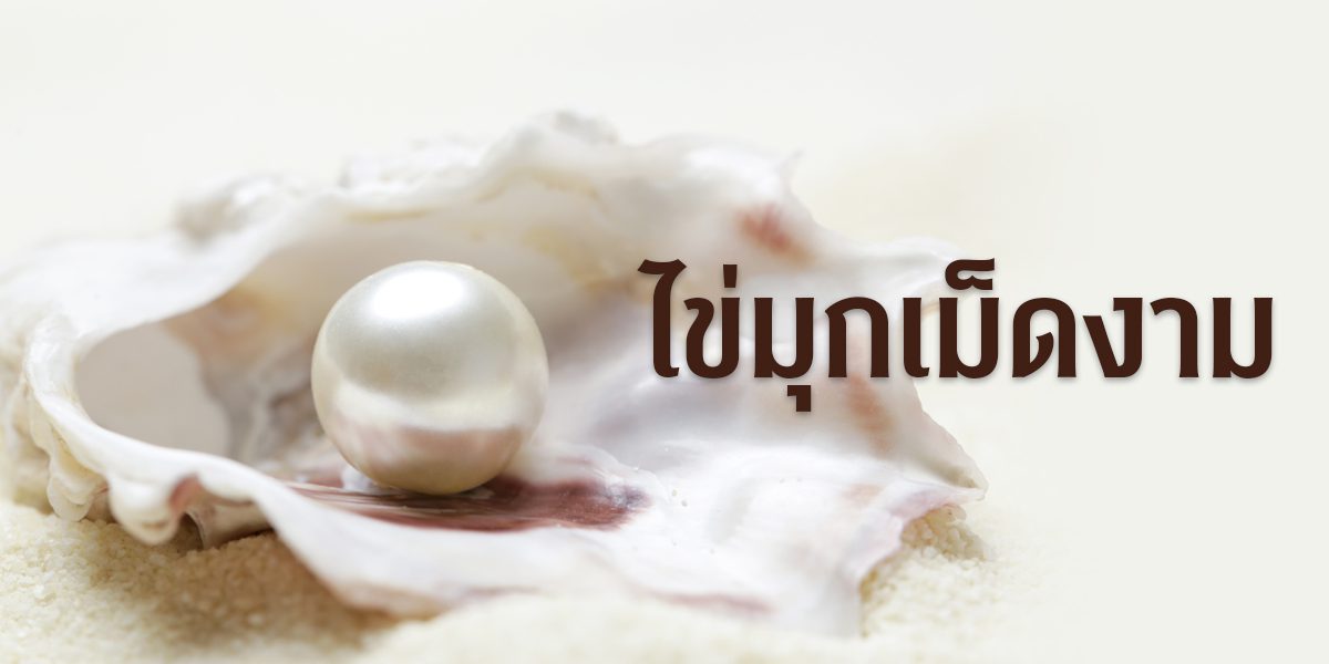banner-แม่พระ 247 มกรา-กุมภา 2023