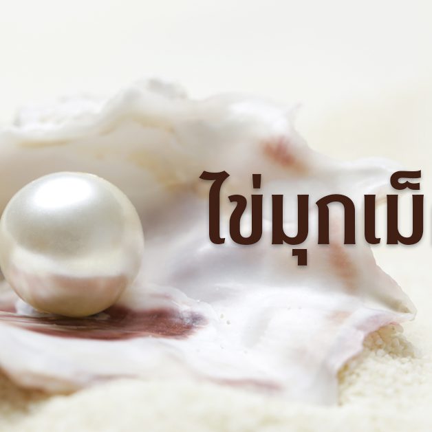 banner-แม่พระ 247 มกรา-กุมภา 2023