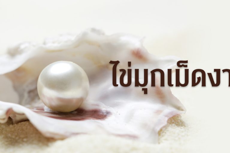 banner-แม่พระ 247 มกรา-กุมภา 2023