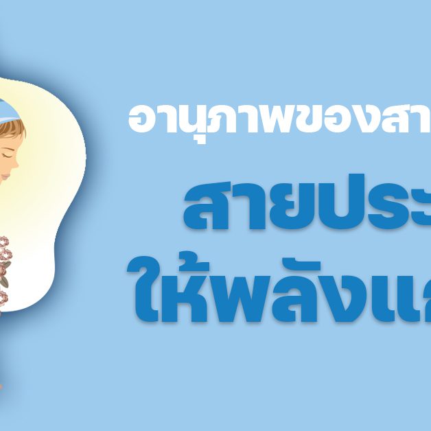 banner 02 -แม่พระ 256 กรกฎาคม – สิงหาคม 2024 – img