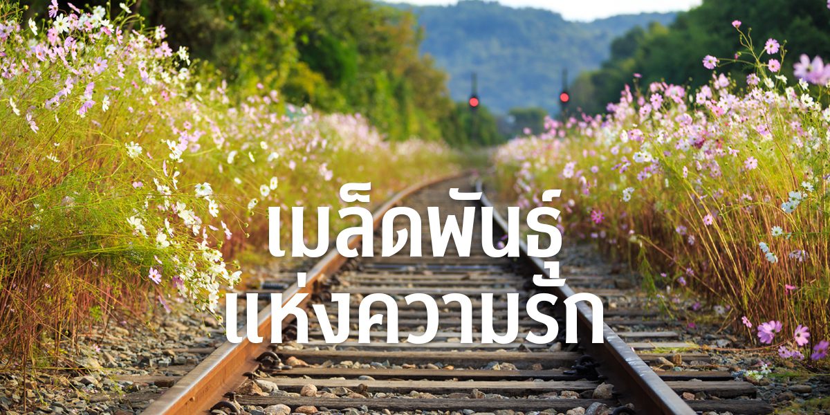 แม่พระ 259 มกราคม – กุมภาพันธ์ 2025