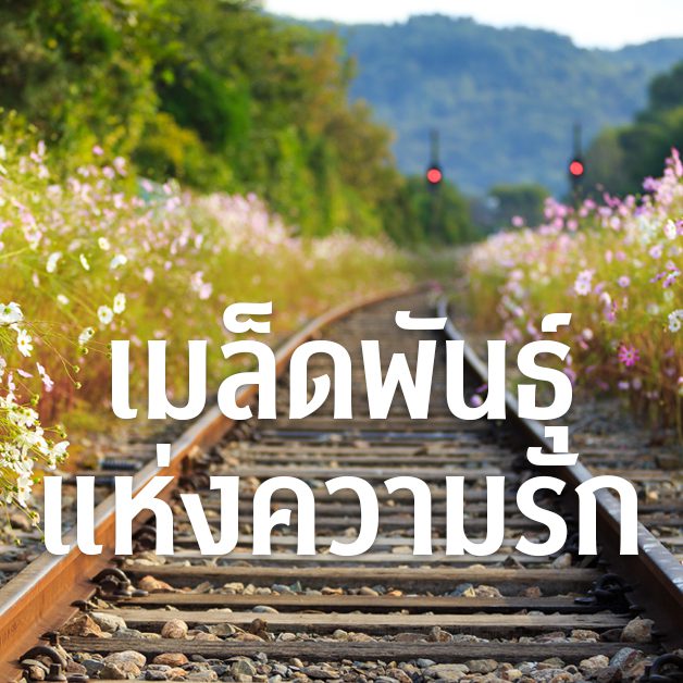แม่พระ 259 มกราคม – กุมภาพันธ์ 2025