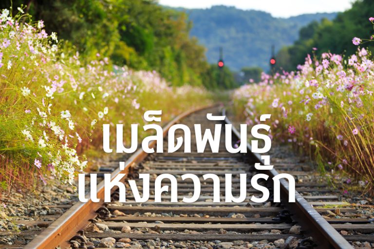 แม่พระ 259 มกราคม – กุมภาพันธ์ 2025